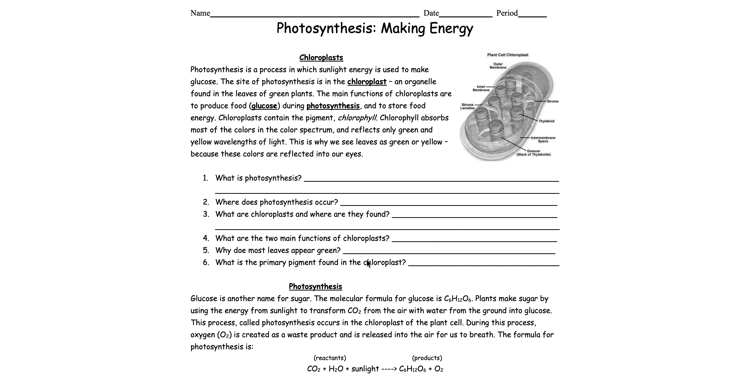 Assignment for science-photosynthesis